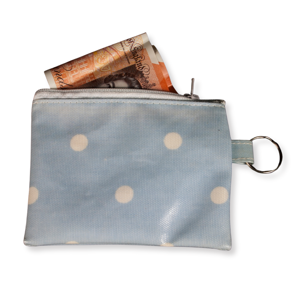 blue spots purse with money notes spilling out