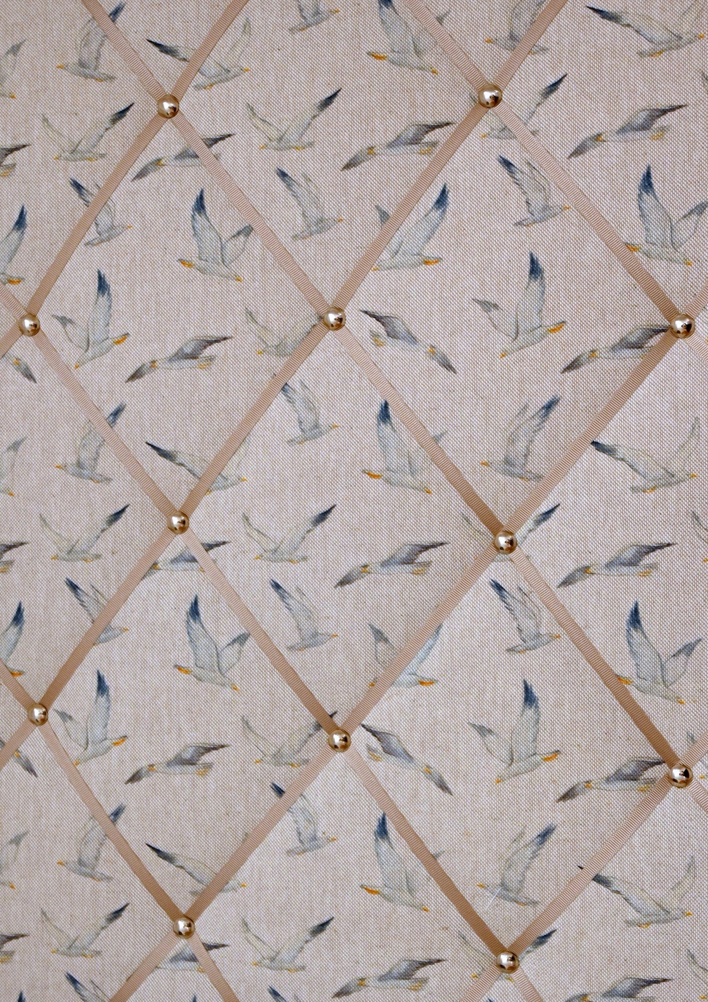 seagulls notice board