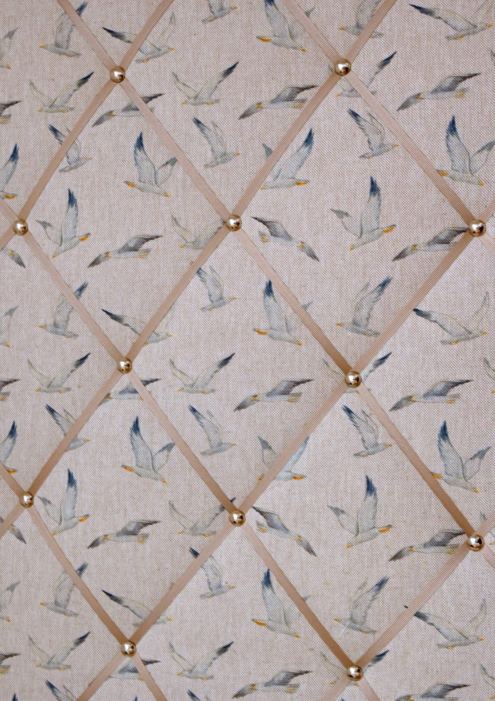 seagulls notice board