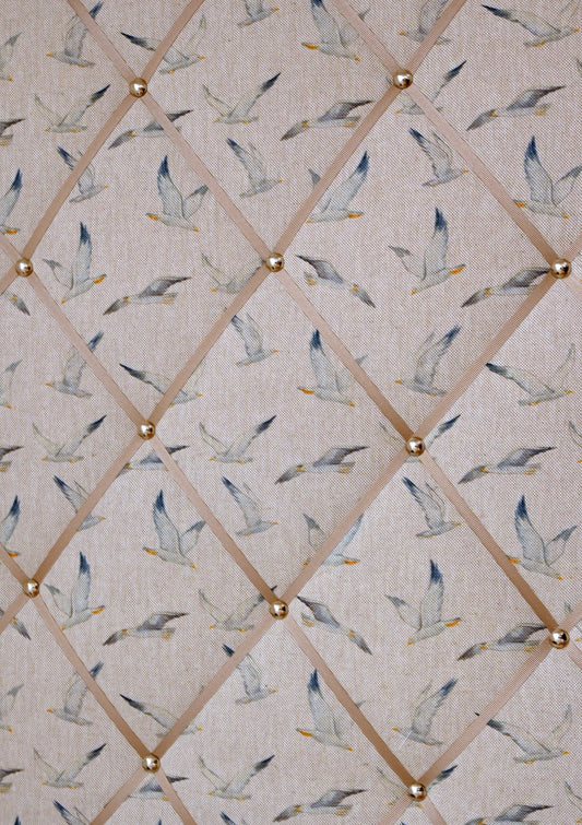 seagulls notice board