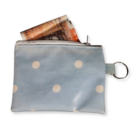 blue spots purse with money notes spilling out 
