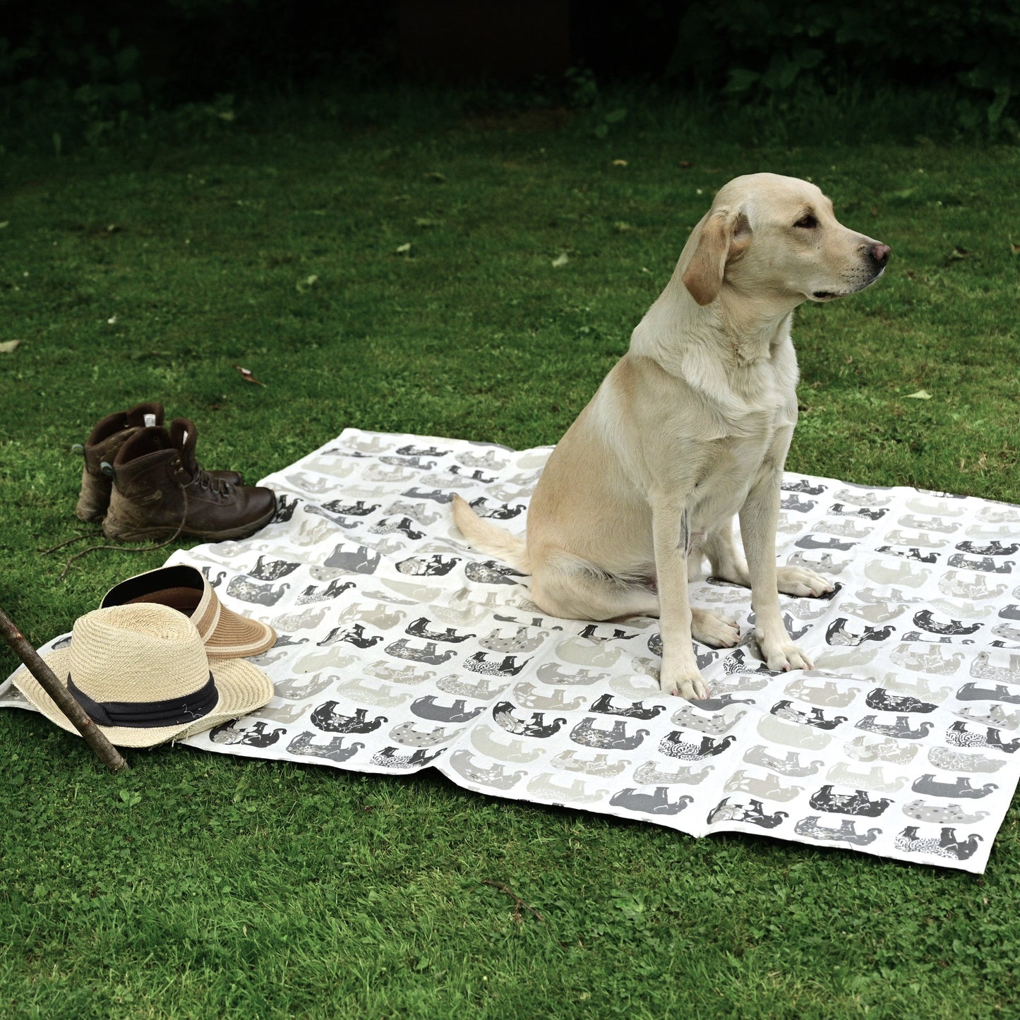 grey elephant picnic rug lifestyle in park