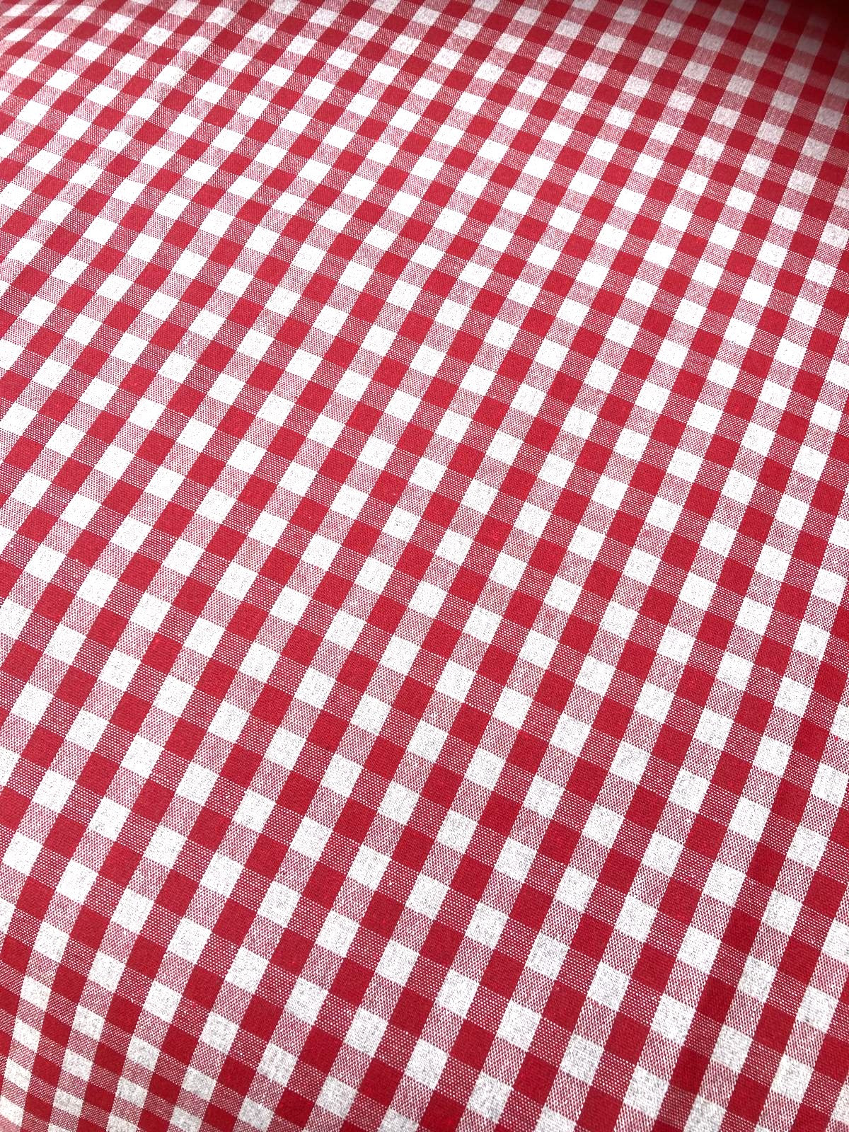 Close-up of red and white checkered gingham tablecloth