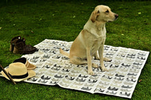 Load image into Gallery viewer, Picnic Rug: Grey Elephant
