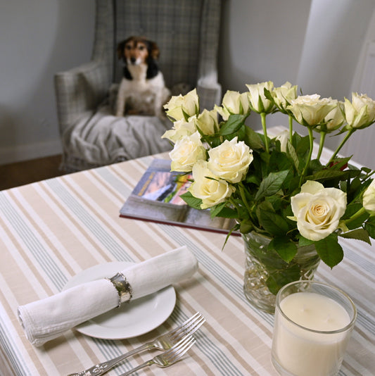 Tablecloth, Striped in 5 sizes, Wipe Clean material