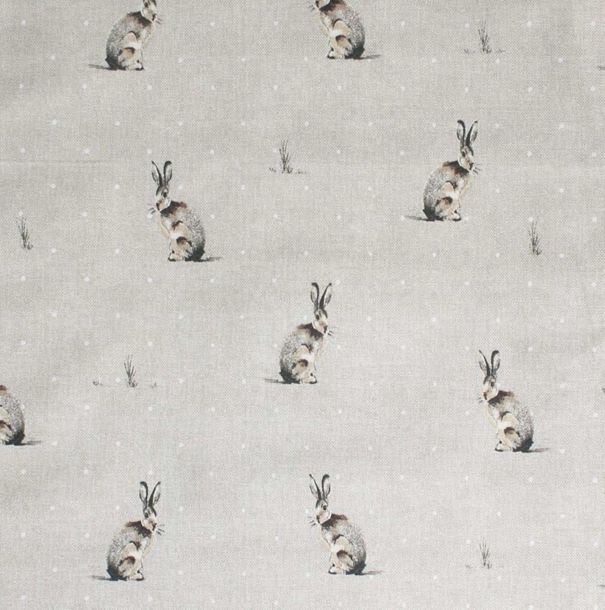 Magnetic Everhot Top, Hares