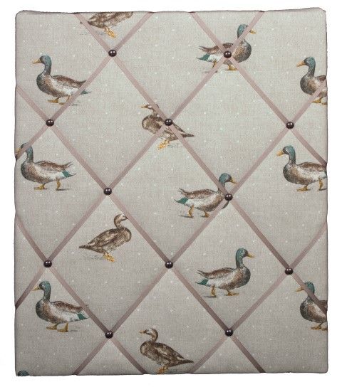 mallard ducks notice board on white background